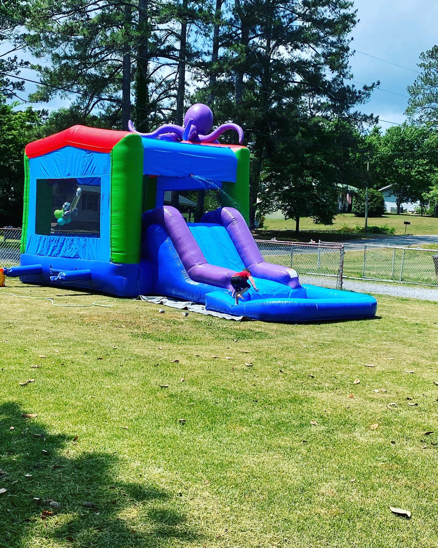 Bouncys Bouncys
